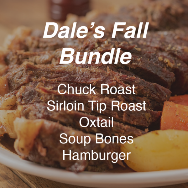 Dale's Fall Bundle